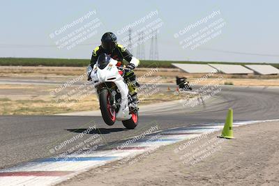 media/Aug-04-2024-TrackDaz (Sun) [[e1ff0814b6]]/Group B/1220pm (Wheelie Bump)/